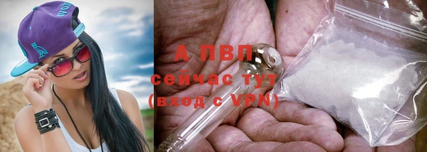 mdpv Белокуриха