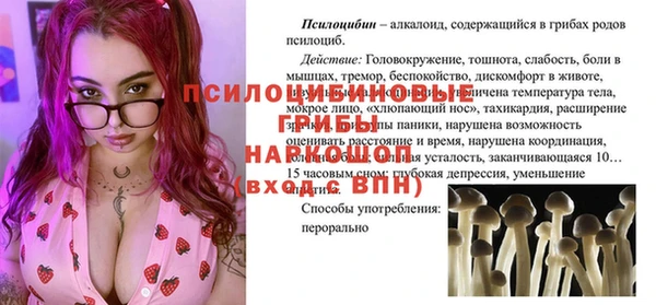 mdpv Белокуриха