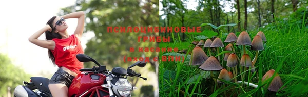марки lsd Беломорск