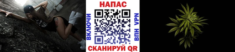 Конопля ГИДРОПОН  Очёр 